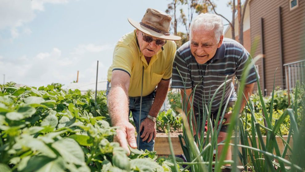 old age lifestyle- saral satya legacy